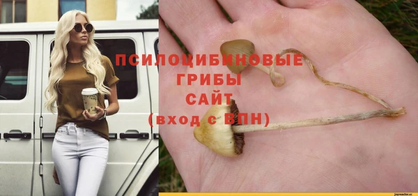 молекула духа Вязьма