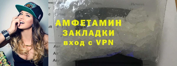 ПСИЛОЦИБИНОВЫЕ ГРИБЫ Вяземский
