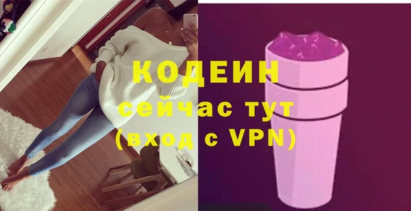 молекула духа Вязьма