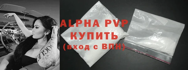 ПСИЛОЦИБИНОВЫЕ ГРИБЫ Вяземский