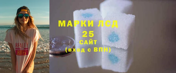 ПСИЛОЦИБИНОВЫЕ ГРИБЫ Вяземский