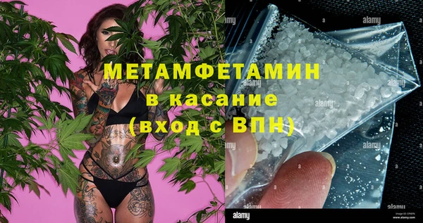ПСИЛОЦИБИНОВЫЕ ГРИБЫ Вяземский