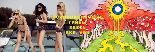 a pvp Вязники