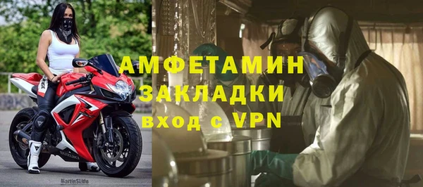 ПСИЛОЦИБИНОВЫЕ ГРИБЫ Вяземский