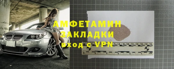 ПСИЛОЦИБИНОВЫЕ ГРИБЫ Вяземский