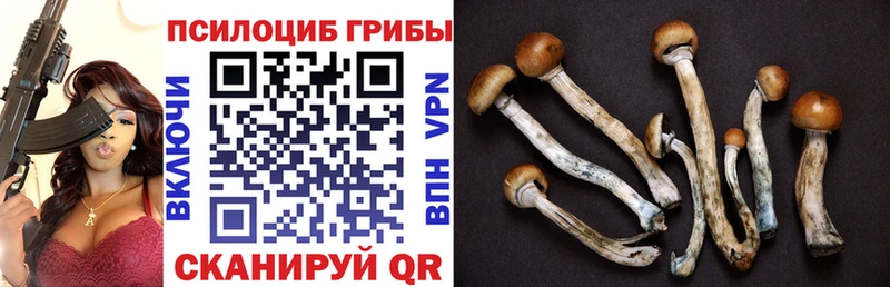 даркнет сайт  Абакан  Псилоцибиновые грибы Magic Shrooms 