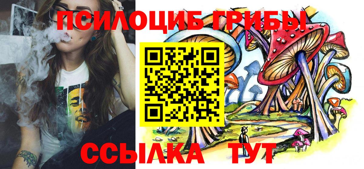 Абакан  Галлюциногенные грибы Psilocybe  где можно купить   Вход с VPN 