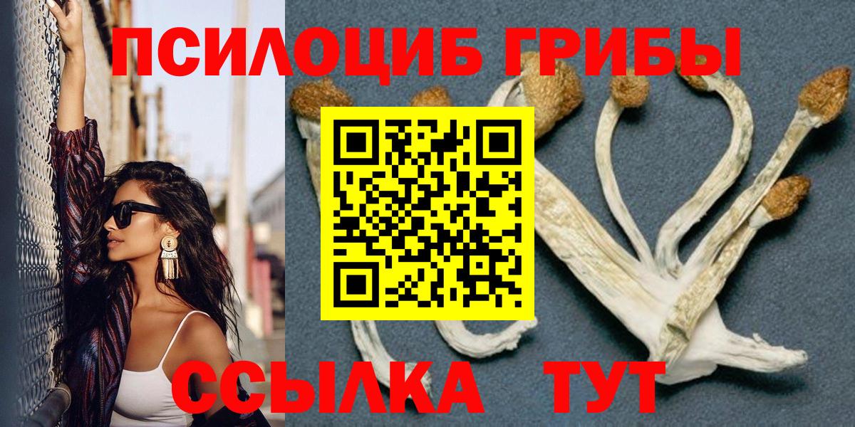 Псилоцибиновые грибы Cubensis Абакан